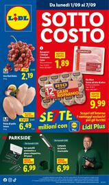 Volantino Lidl settimana 36 Pagina 1