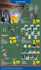 Volantino Lidl settimana 36 Pagina 31