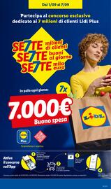 Volantino Lidl settimana 36 Pagina 5