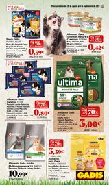 Folleto Gadis semana 35 Página 33