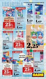Folleto Gadis semana 35 Página 39