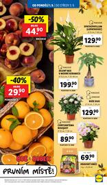 Lidl leták Strana 11