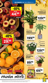 Lidl leták Strana 11