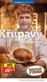 Lidl leták Strana 16