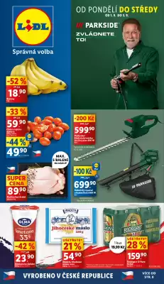 Lidl leták (platné do 3-09)