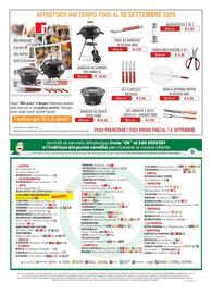 Volantino DeSpar Express Pagina 8