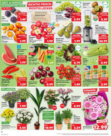 Kaufland Prospekt woche 35 Seite 10