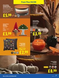 Lidl leaflet week 36 Page 21