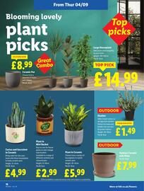 Lidl leaflet week 36 Page 22