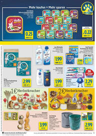 diska Prospekt woche 36 Seite 10