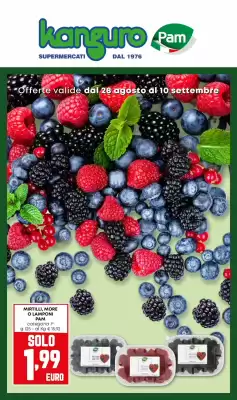 Volantino Kanguro (valido fino al 10-09)