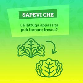 Volantino Il Centesimo settimana 35 Pagina 2