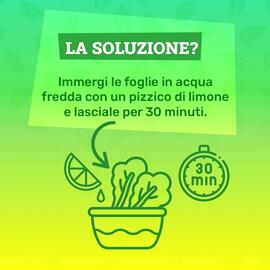 Volantino Il Centesimo settimana 35 Pagina 3