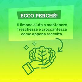 Volantino Il Centesimo settimana 35 Pagina 4