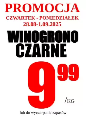 Wizan gazetka (ważność do 1-09)