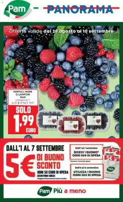 Volantino Panorama (valido fino al 10-09)