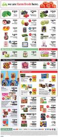 ShopRite Weekly Ad week 35 Page 10
