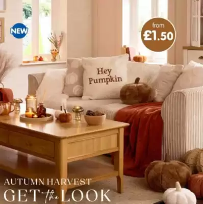 B&M Stores leaflet (valid until 21-09)