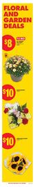 No Frills flyer week 35 Page 14
