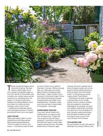 Bunnings catalogue Page 66