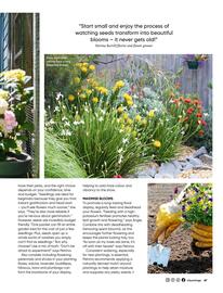 Bunnings catalogue Page 67