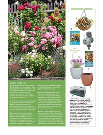 Bunnings catalogue Page 69