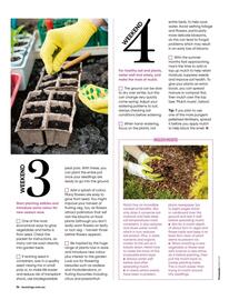 Bunnings catalogue Page 74