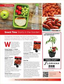 Bunnings catalogue Page 78