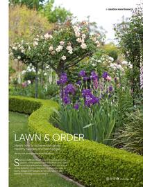 Bunnings catalogue Page 79