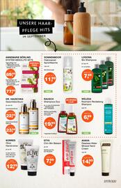 Prokopp Flugblatt Seite 7