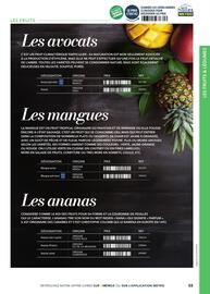 Catalogue METRO page 55