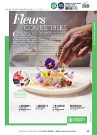 Catalogue METRO page 65