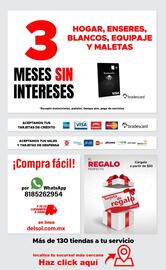 Catálogo DelSol Página 42