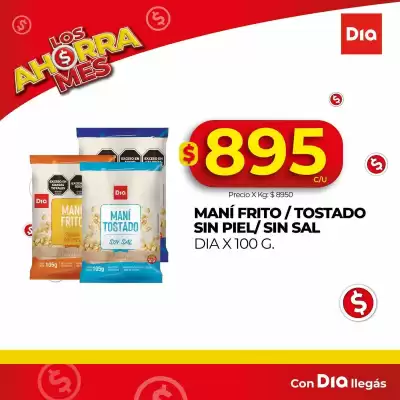 Catálogo Supermercados DIA (válido hasta 3-09)