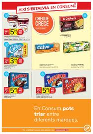 Folleto Consum Página 13