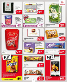 Selgros gazetka Strona 21