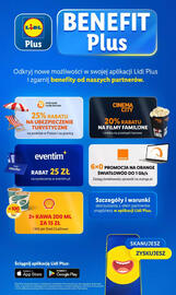 Lidl gazetka tydzień 36 Strona 49