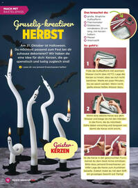 Billa Flugblatt Seite 12