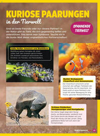 Billa Flugblatt Seite 23