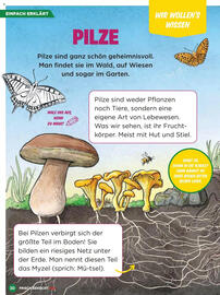 Billa Flugblatt Seite 30