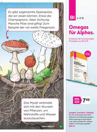 Billa Flugblatt Seite 31
