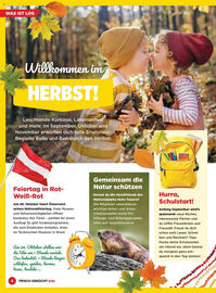 Billa Flugblatt Seite 4