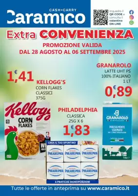Volantino Caramico (valido fino al 6-09)