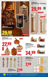 Catalog Lidl Pagină 40
