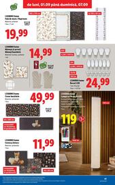 Catalog Lidl Pagină 41
