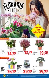 Catalog Lidl Pagină 42