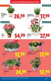 Catalog Lidl Pagină 43