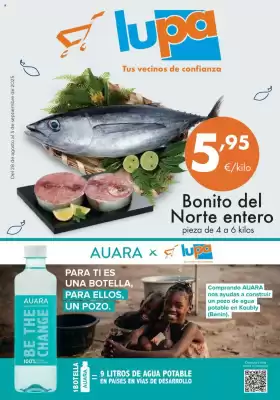 Folleto Supermercados Lupa (válido hasta el 3-09)