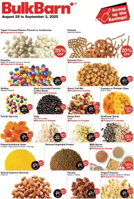 Bulk Barn flyer (valid until 3-09)