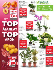 Kaufland SK akciós újság hét 35 Oldal 7